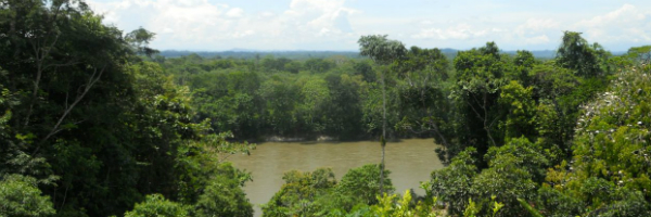 Reisetips for Amazonas i Ecuador