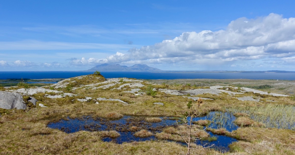 Utsikt i Brønnøy kommune