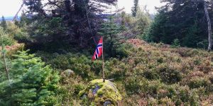 Flagg på toppen Vesle Kråkhugu i Gjøvik
