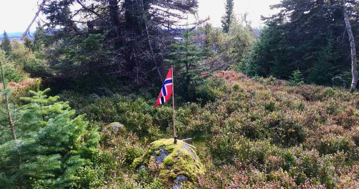 Flagg på toppen Vesle Kråkhugu i Gjøvik