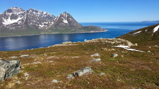 Fjorden utover fra Øksfjord