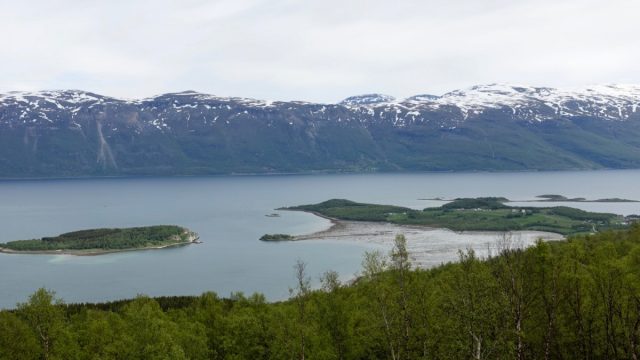 Utsikt i Lyngen