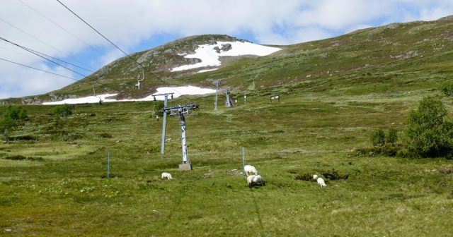 Snø på fjellet - Oppdal