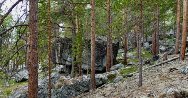 Stor stein i Skjåk